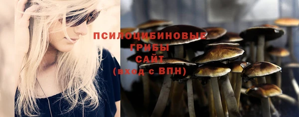 индика Балахна