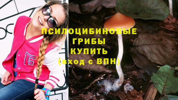 2c-b Аркадак