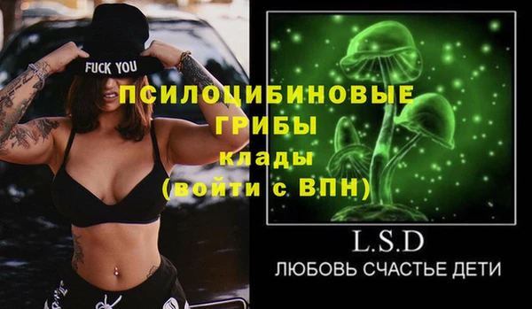 индика Балахна