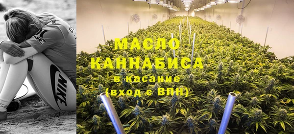 индика Балахна