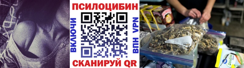 что такое Сосновка кракен зеркало Галлюциногенные грибы GOLDEN TEACHER